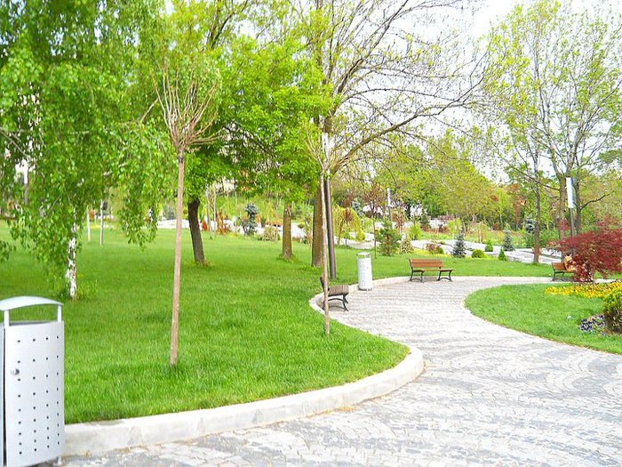 253514_114706105283607_100002326545015_139687_3585808_n - in orasul Slatina