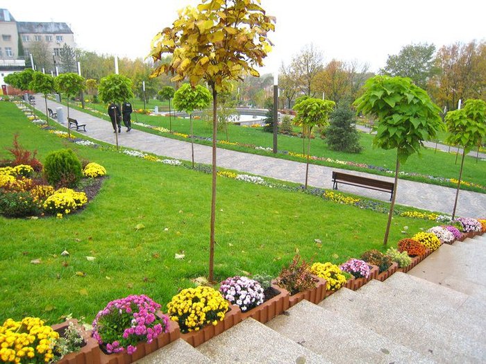 253514_114706108616940_100002326545015_139688_5976872_n