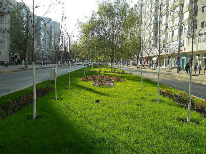 539522_271538266267056_100002326545015_593847_64806588_n