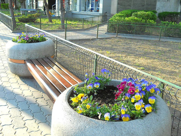 544861_271543739599842_100002326545015_593898_1713745674_n