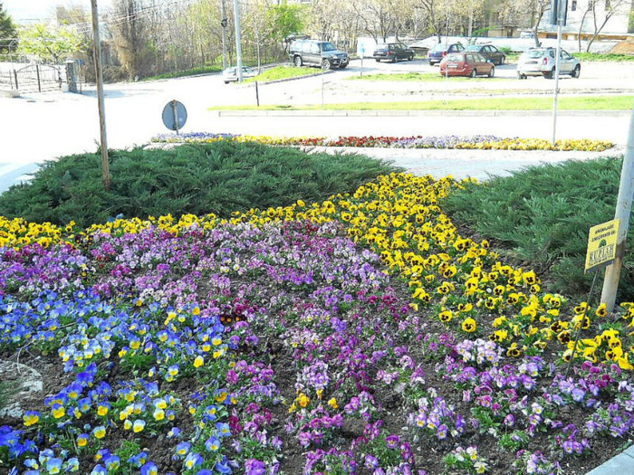 558980_271533399600876_100002326545015_593804_778327235_n