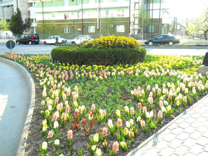 559800_271542389599977_100002326545015_593893_1948429409_n