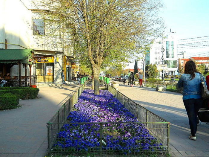 560962_271546272932922_100002326545015_593917_1066836799_n