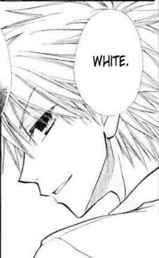 usui 48