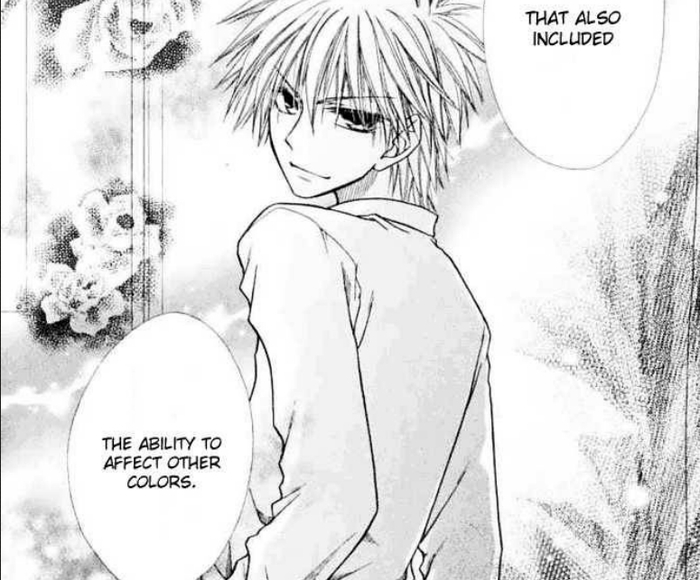 usui 49