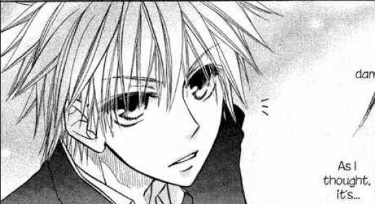 usui 52