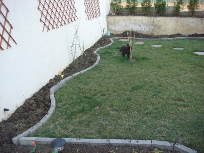 DSC03798 - aprilie 2012