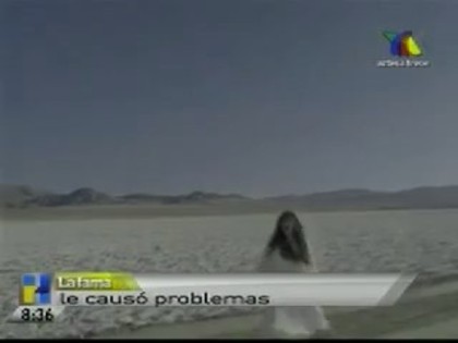 bscap0292 - Demi - Los problemas de la salud y adicciones