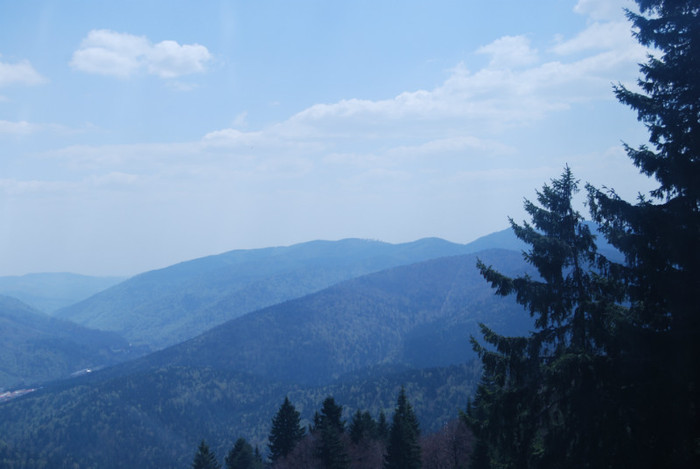 DSC_1759 - nikon
