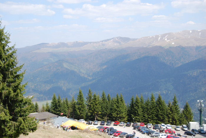 DSC_1765 - nikon
