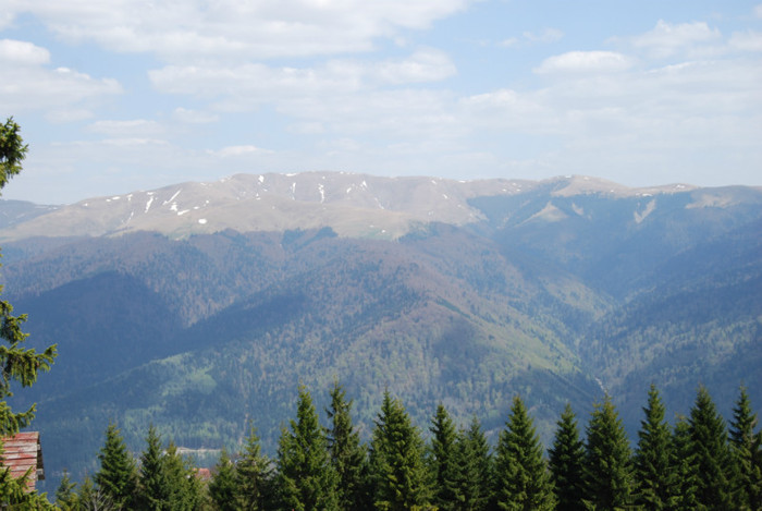 DSC_1767 - nikon