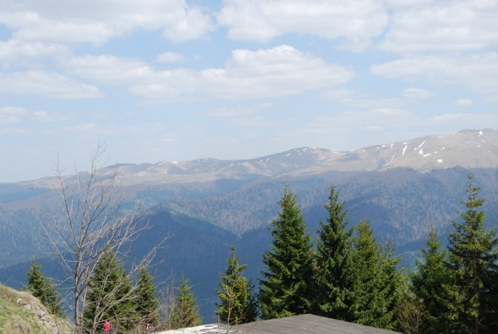 DSC_1770 - nikon