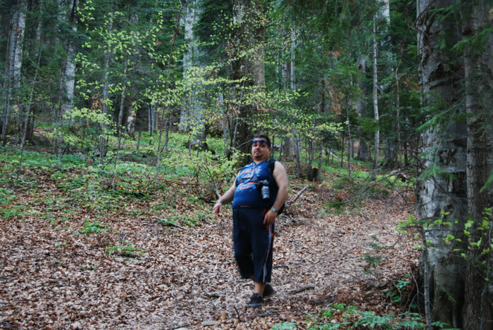 DSC_1862 - nikon