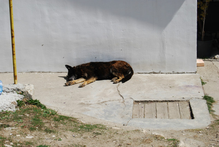 DSC_1902 - nikon