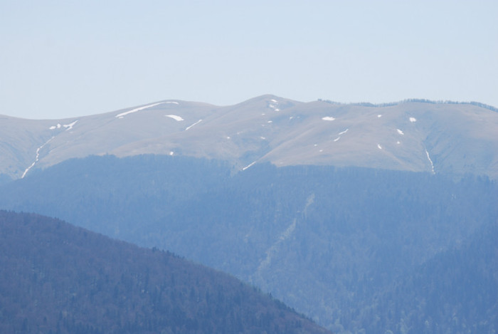 DSC_1906 - nikon