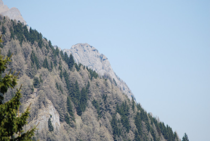 DSC_1914 - nikon