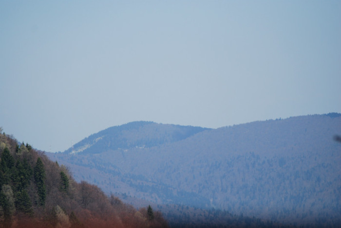DSC_1919 - nikon
