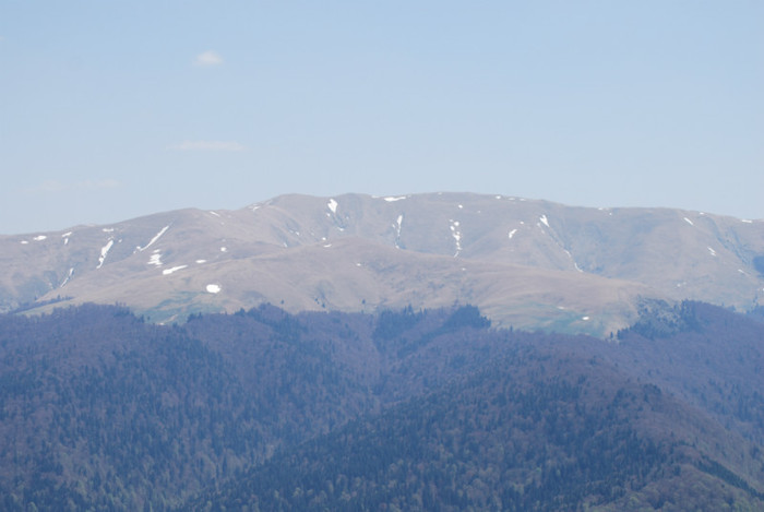 DSC_1932 - nikon