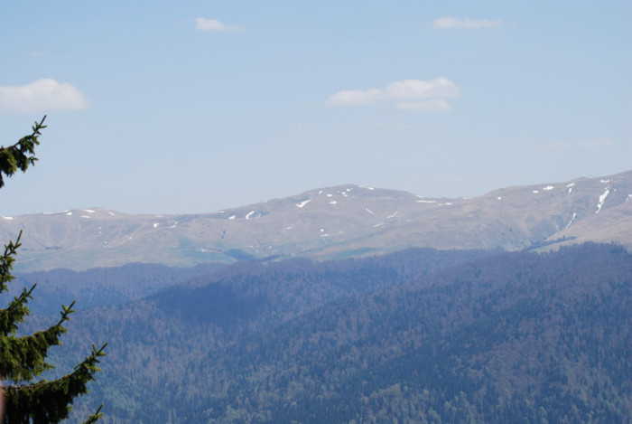 DSC_1933 - nikon