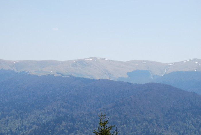 DSC_1934 - nikon