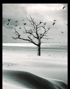 images (45) - poze triste