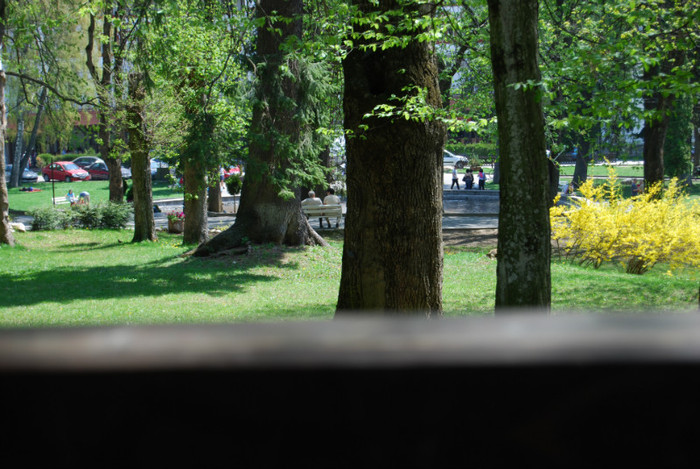DSC_2035 - nikon