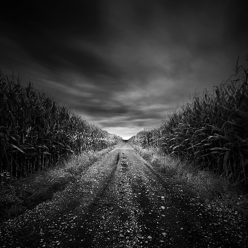  - Artistic Photos