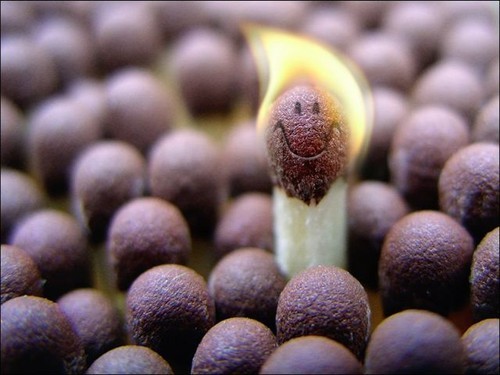  - Artistic Photos