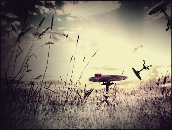  - Artistic Photos