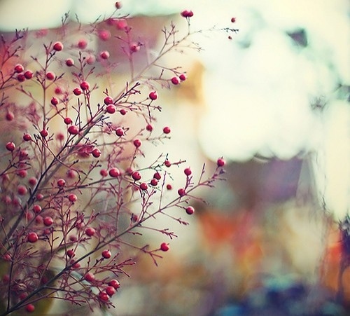  - Artistic Photos