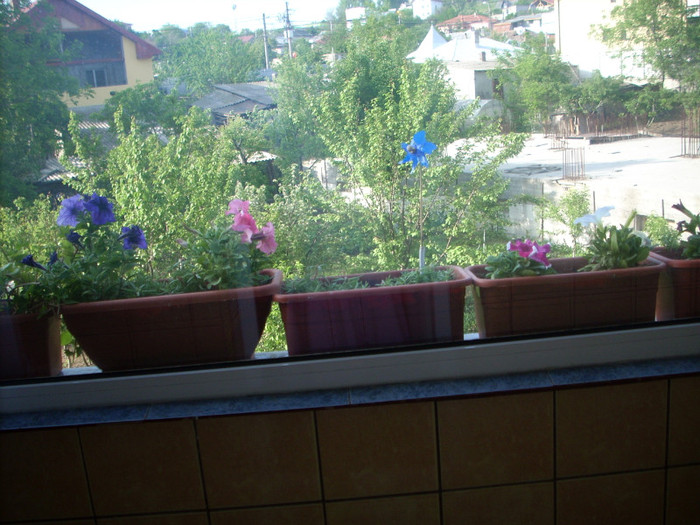 DSCN1405