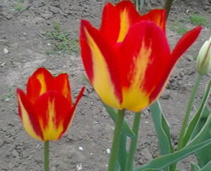 26-04-12-15-19