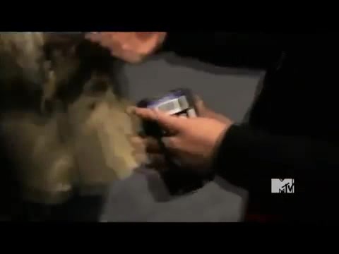 Demi Lovato - Stay Strong Premiere Documentary Full 09806