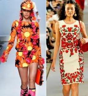 FLORICELE PE ROCHITE