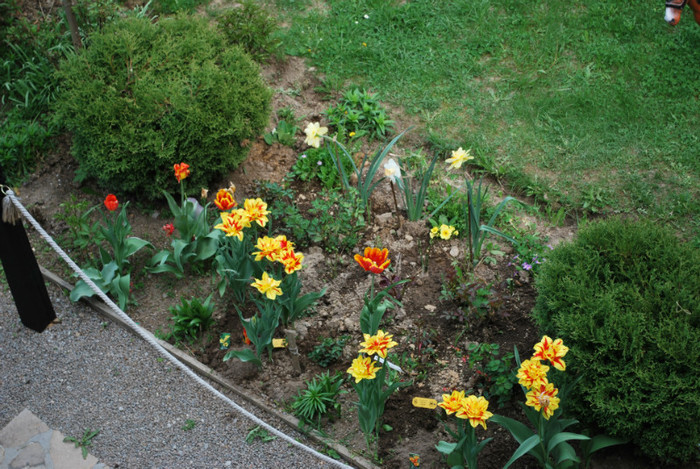 DSC_1466