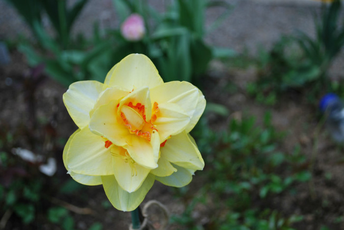 DSC_1444