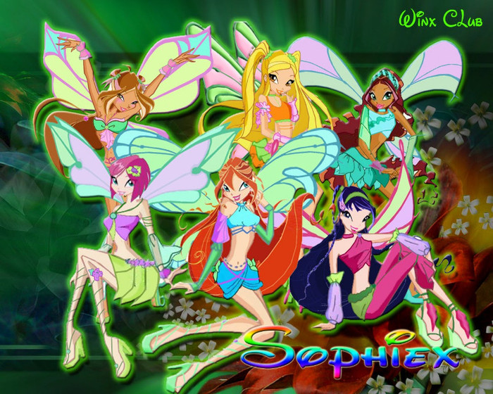 Winx Sofix - Concurs Winx