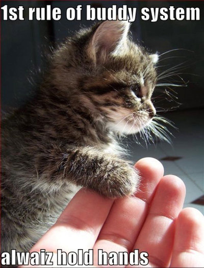 poze-haioase-alwaiz-hold-hands - Pisici