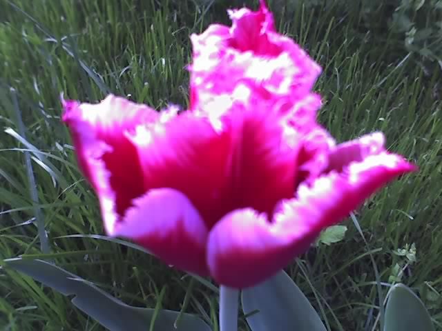 04-05-12_0710