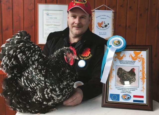 EuropahenneZuidlaren2012