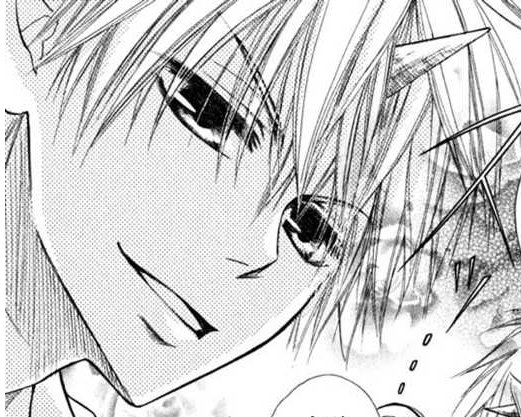 usui 73 - Kaichou Wa Maid Sama Manga
