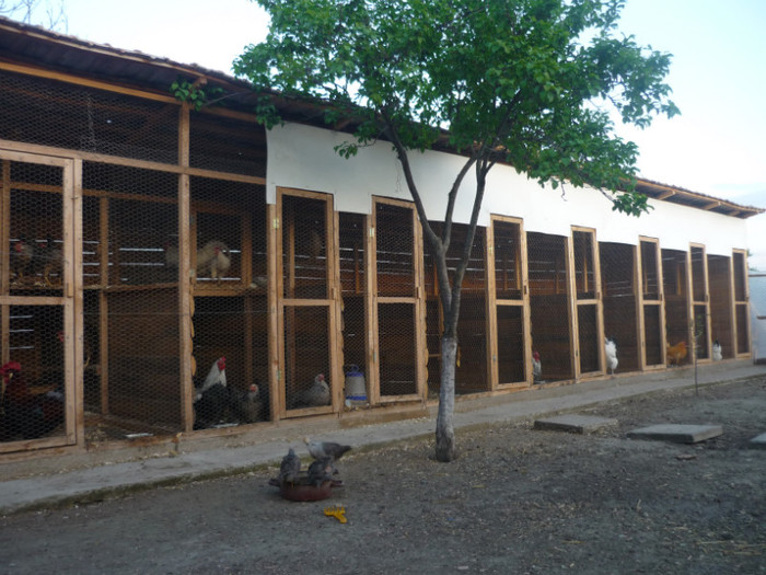 P1020642