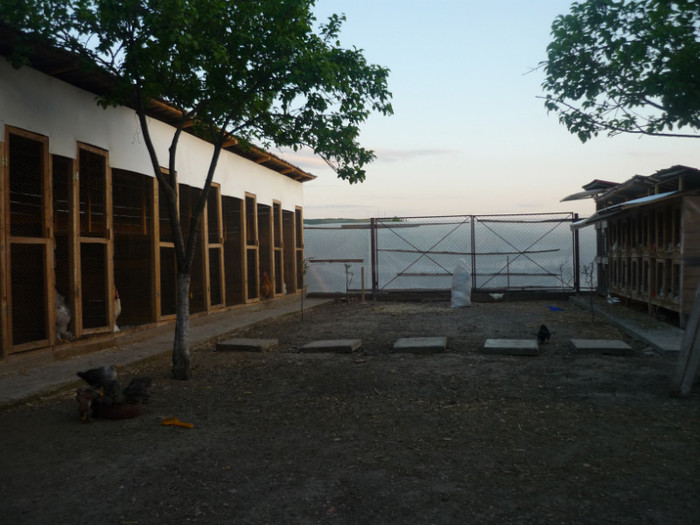 P1020643