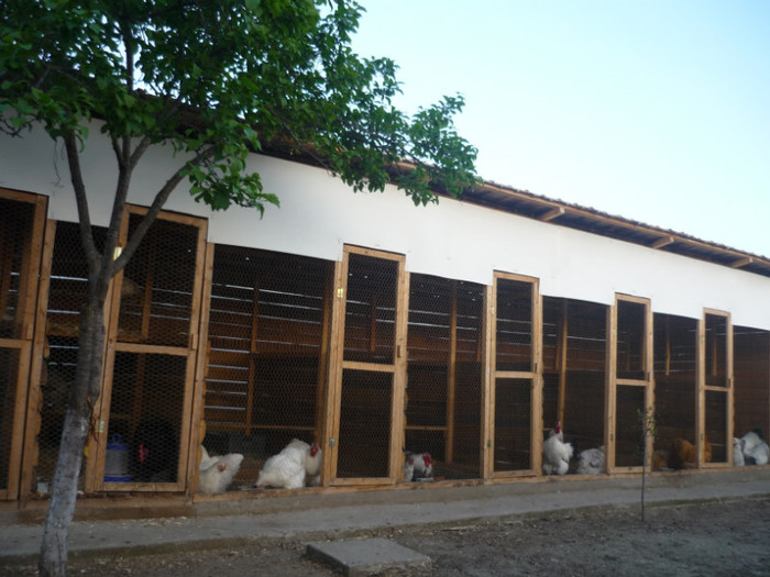P1020653