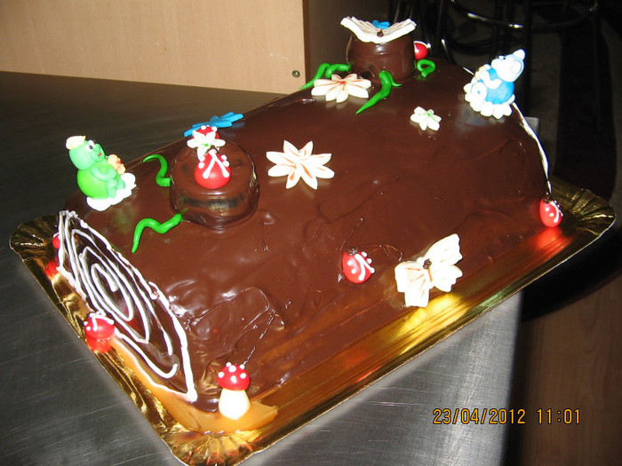 Tort buturuga