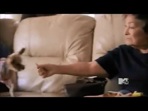 Demi Lovato - Stay Strong Premiere Documentary Full 26633 - Demi - Stay Strong Documentary Part o49