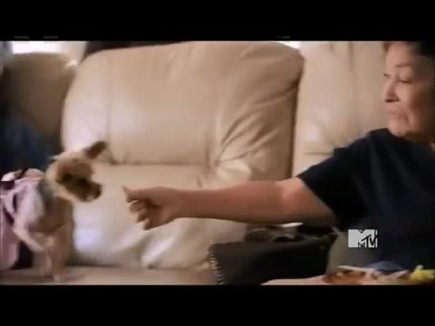 Demi Lovato - Stay Strong Premiere Documentary Full 26635 - Demi - Stay Strong Documentary Part o49