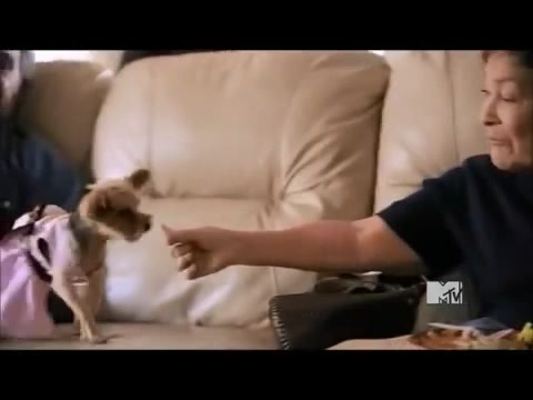 Demi Lovato - Stay Strong Premiere Documentary Full 26636 - Demi - Stay Strong Documentary Part o49