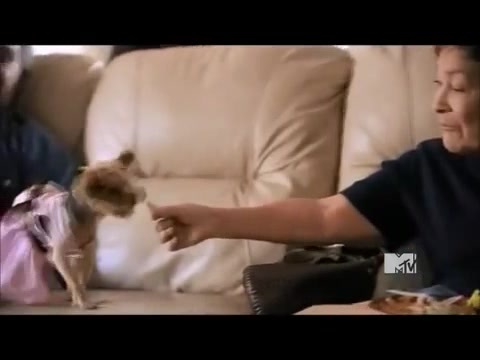 Demi Lovato - Stay Strong Premiere Documentary Full 26637 - Demi - Stay Strong Documentary Part o49