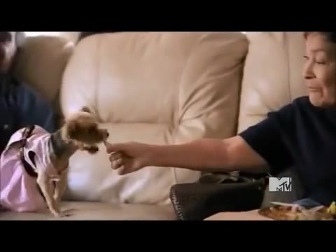 Demi Lovato - Stay Strong Premiere Documentary Full 26638 - Demi - Stay Strong Documentary Part o49
